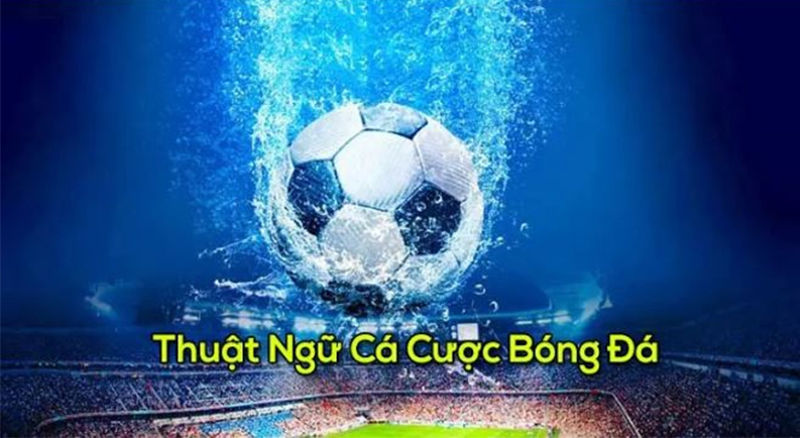Việc nắm rõ thuật ngữ bóng đá là điều quan trọng