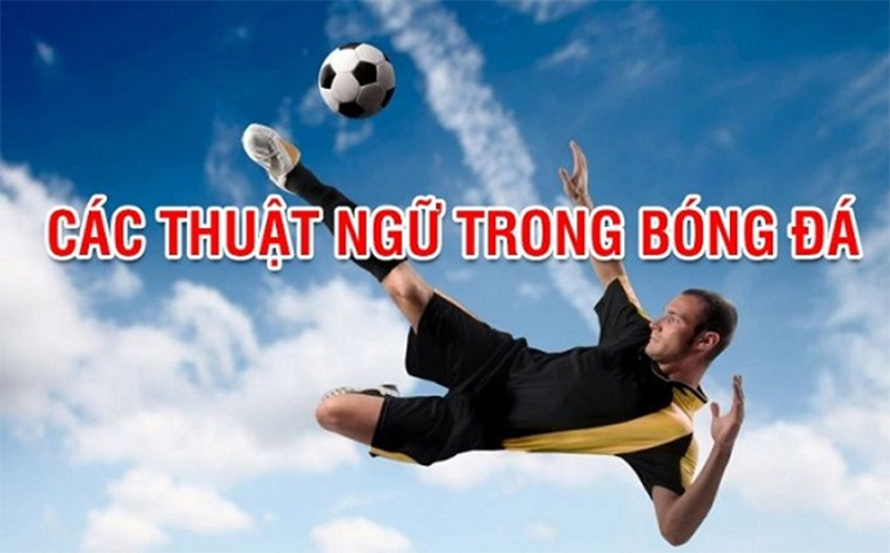 Đa dạng các loại thuật ngữ cơ bản trong bóng đá