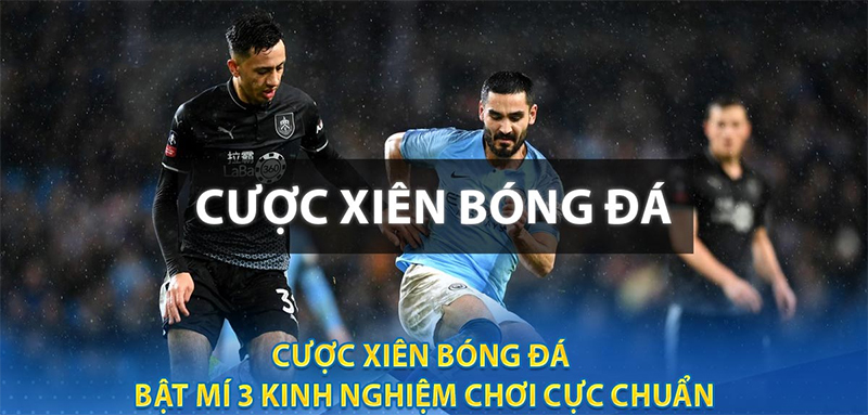 Chuyên gia chia sẻ chiến thuật chơi cược xiên hiệu quả